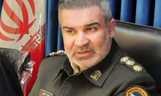 کشف ۴ تن چوب تاغ قاچاق در شاهرود/ یک نفر دستگیر شد