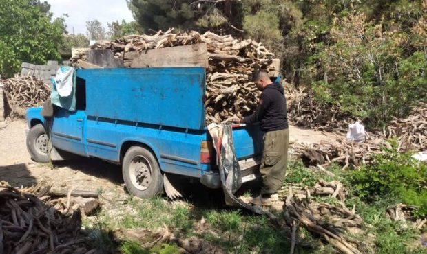 کشف یک تن چوب تاغ قاچاق در جاده طرود/ پایش ادامه دارد