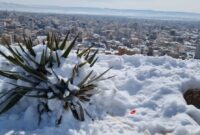 شاهرود زیبا با بارش برف زمستانی سفید پوش شد