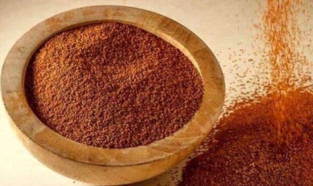 برداشت ۲۱ تن خاکشیر از مزارع بیارجمند پیش‌بینی شد