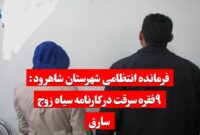 ۹فقره سرقت در پرونده سیاه زوج سارق.