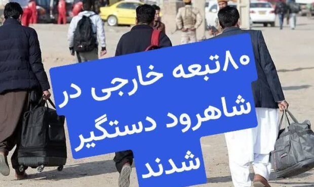 تبعه خارجی غیرمجاز، طرد شدند