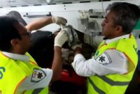 تصادفی با هشت مصدوم در جاده حادثه‌خیز طرود به شاهرود/ حال سه نفر وخیم است