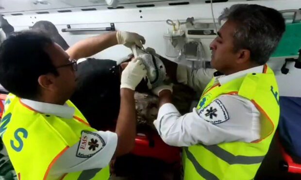 تصادفی با هشت مصدوم در جاده حادثه‌خیز طرود به شاهرود/ حال سه نفر وخیم است