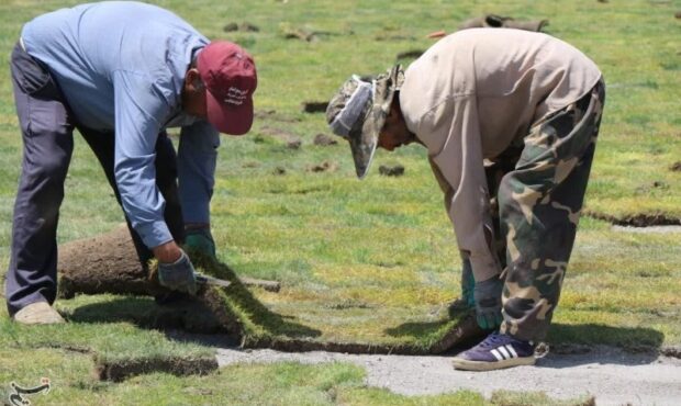چمن ورزشگاه تختی شاهرود خشک شد
