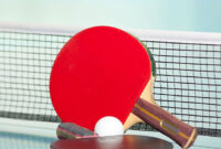 رقابت های تنیس روی میز دختران منطقه ۹ کشور در شاهرود رقابت های تنیس روی میز دختران منطقه ۹ کشور در شاهرود