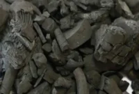 کشف محموله زغال تاغ قاچاق در شاهرود