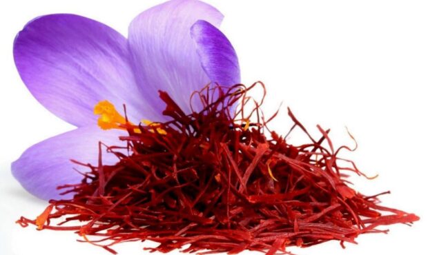 پیش‌بینی برداشت ۱.۳۳ تن زعفران از مزارع شاهرود
