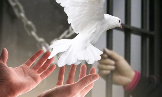 یک محکوم به قصاص در شاهرود در آستانه اجرای حکم بخشیده شد. یک محکوم به قصاص در شاهرود در آستانه اجرای حکم بخشیده شد.