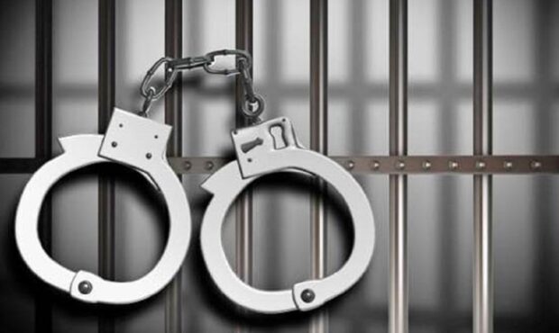 دستگیری سارق سریالی منازل در شاهرود دستگیری سارق سریالی منازل در شاهرود