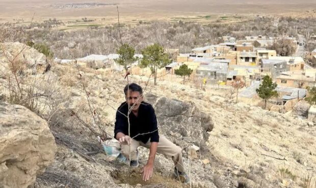 کاشت ۵۰ اصله درخت توت در ارتفاعات منطقه «سرچیل» همجوار با روستای قلعهبالا کاشت ۵۰ اصله درخت توت در ارتفاعات منطقه «سرچیل» همجوار با روستای قلعهبالا
