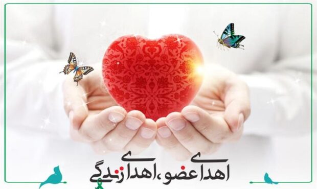 اهدای عضو مادر شاهرودی زندگیبخش ۵ بیمار شد اهدای عضو مادر شاهرودی زندگیبخش ۵ بیمار شد
